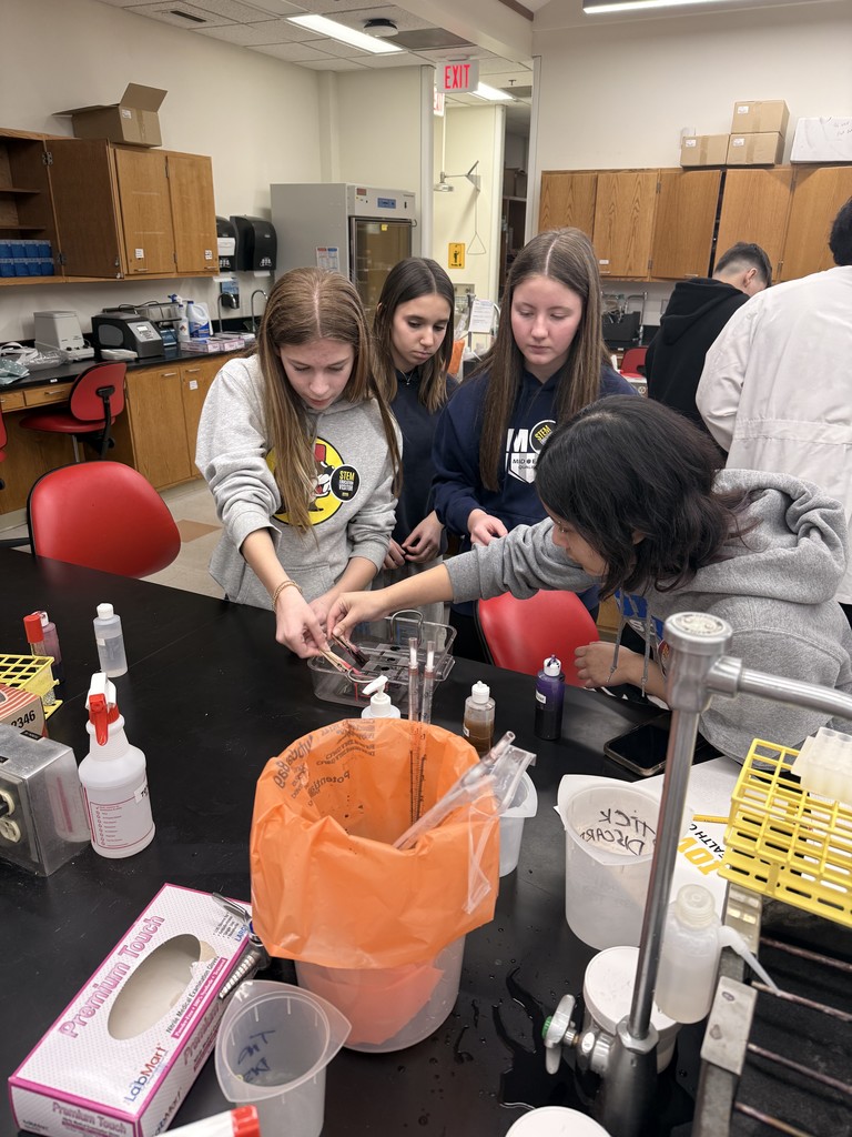 8th grade students worked with Iowa PA students to learn how to give stitches and also got to look at their own DNA and bacteria. 