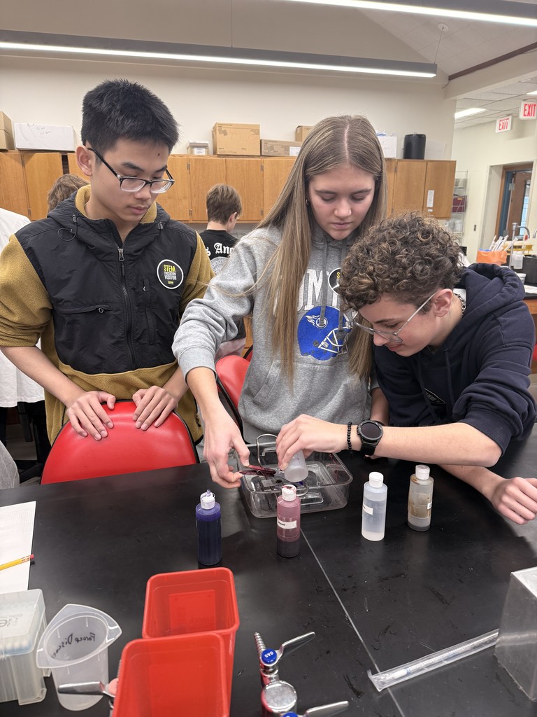 8th grade students worked with Iowa PA students to learn how to give stitches and also got to look at their own DNA and bacteria. 