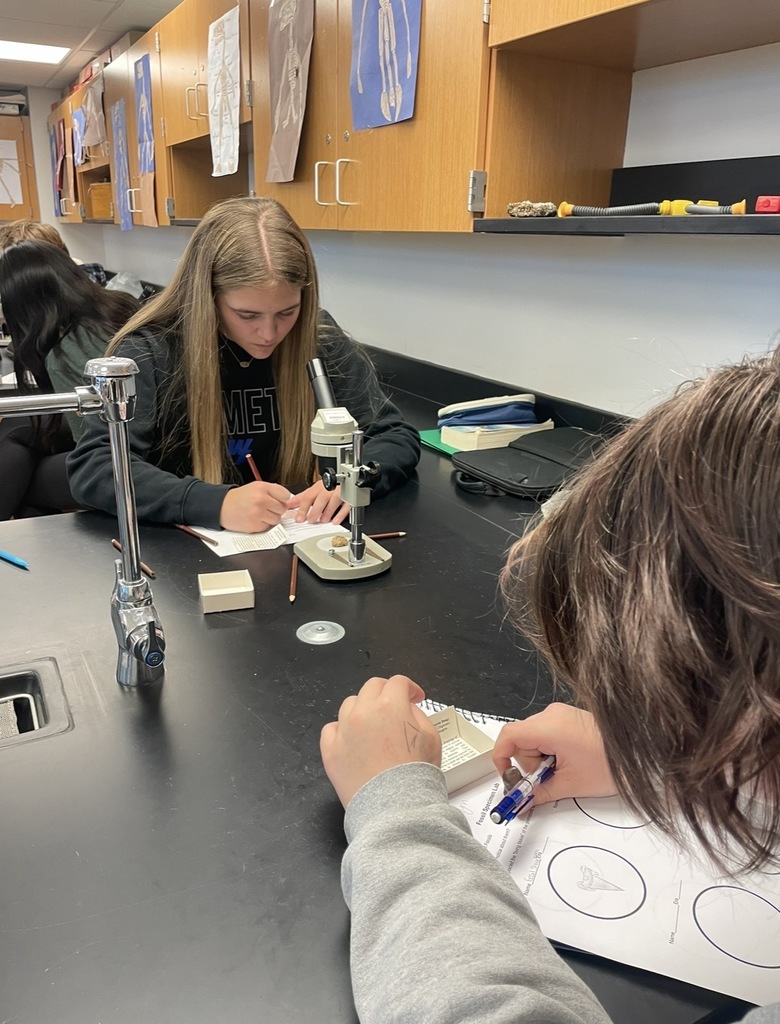 Budding paleontologists at WLMS! 8th graders love analyzing fossil specimens.