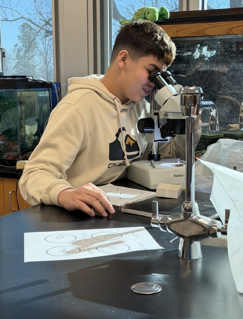 Budding paleontologists at WLMS! 8th graders love analyzing fossil specimens.