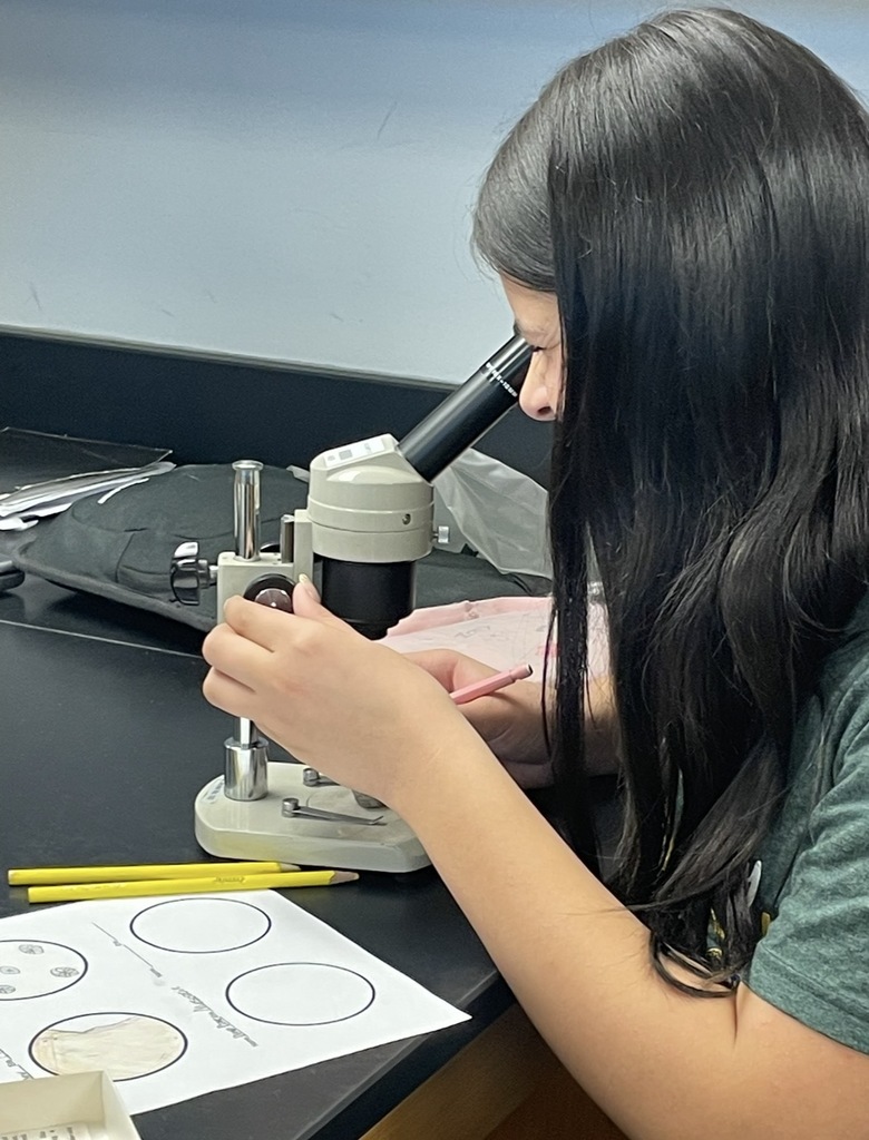 Budding paleontologists at WLMS! 8th graders love analyzing fossil specimens.
