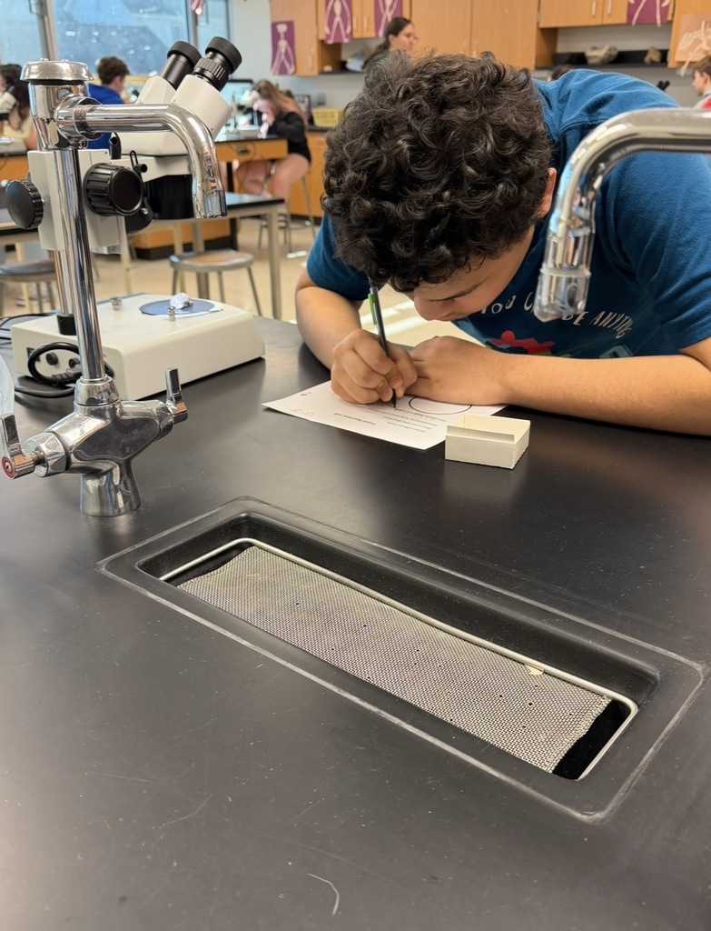 Budding paleontologists at WLMS! 8th graders love analyzing fossil specimens.