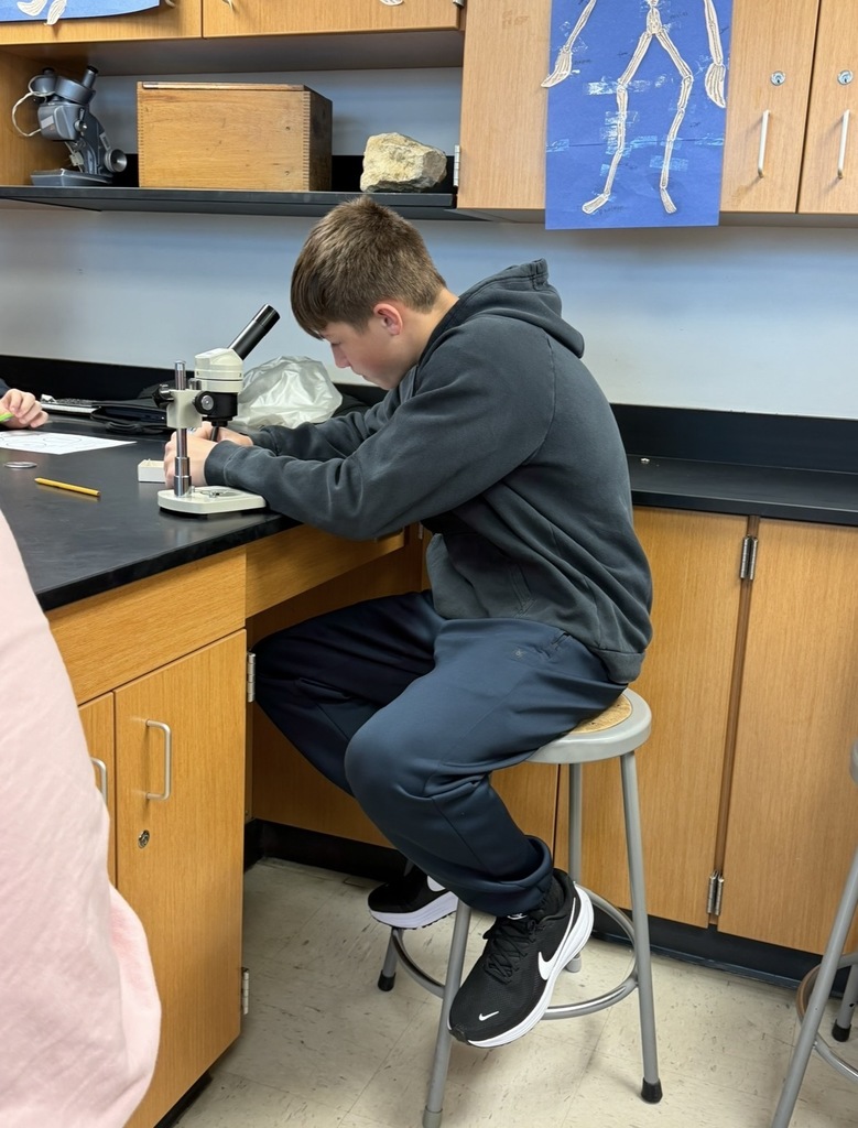 Budding paleontologists at WLMS! 8th graders love analyzing fossil specimens.