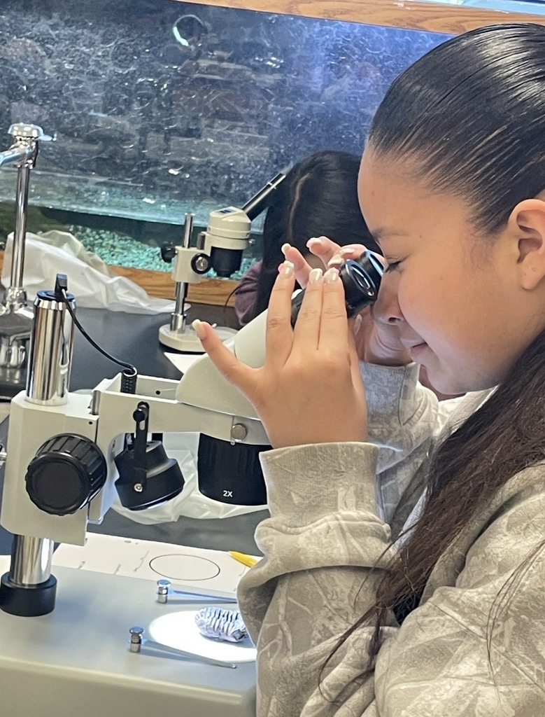 Budding paleontologists at WLMS! 8th graders love analyzing fossil specimens.