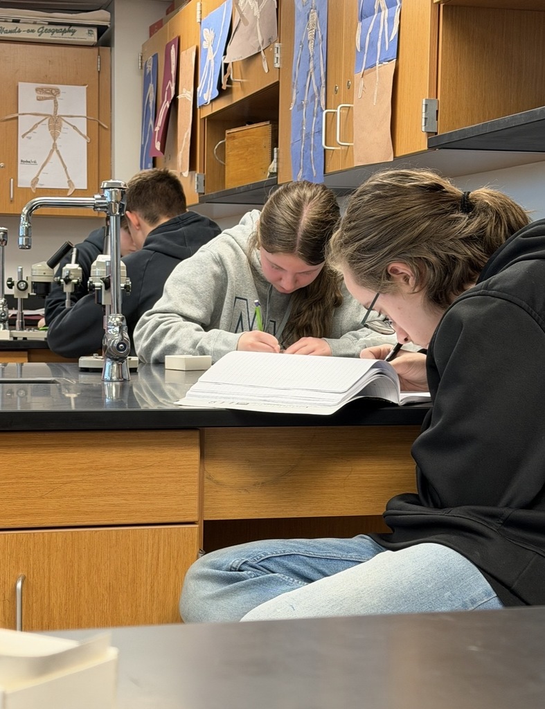 Budding paleontologists at WLMS! 8th graders love analyzing fossil specimens.