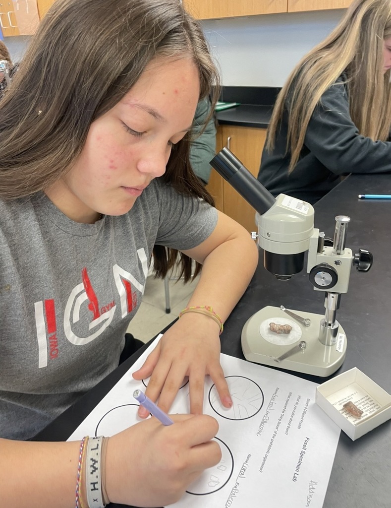 Budding paleontologists at WLMS! 8th graders love analyzing fossil specimens.