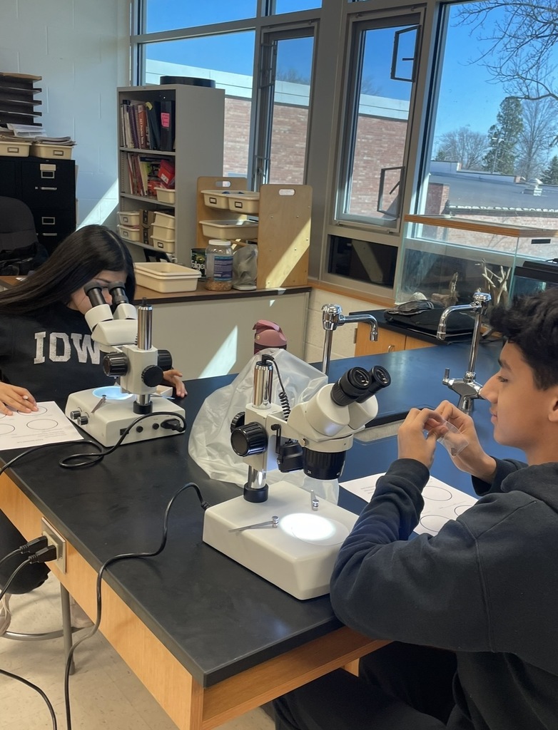 Budding paleontologists at WLMS! 8th graders love analyzing fossil specimens.