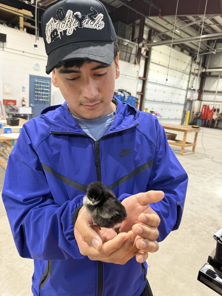 Aaron holding a baby chick