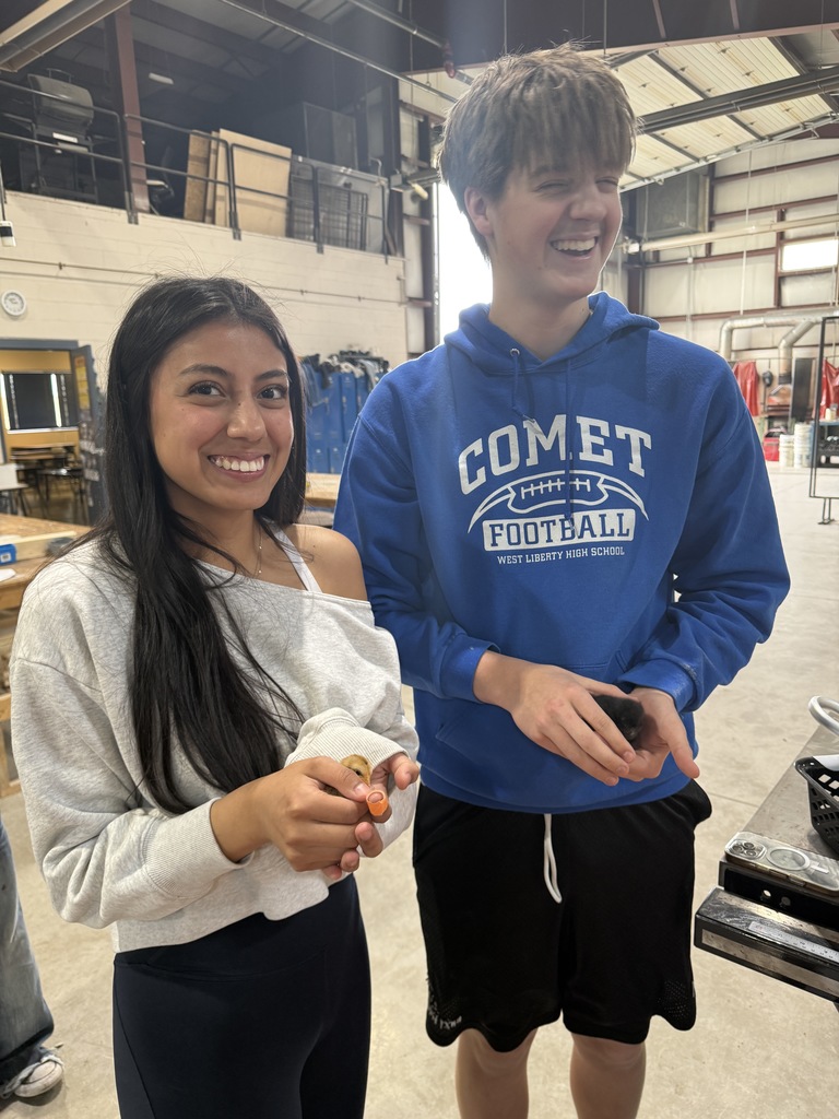 students holding baby chicks