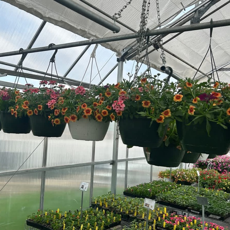 2026 FFA Plant Sale