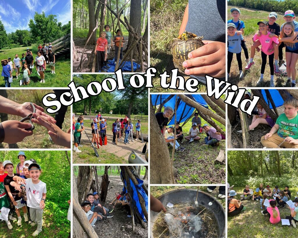 school of the wild