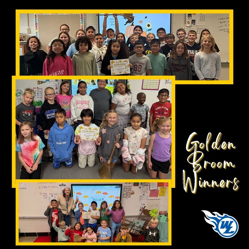golden broom winners