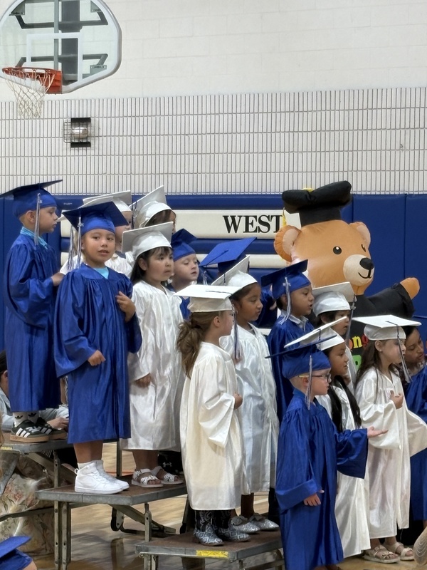 Mrs. Reed's Preschool Class