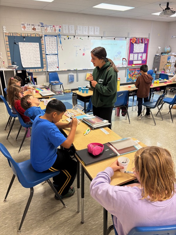 Elementary Mentoring