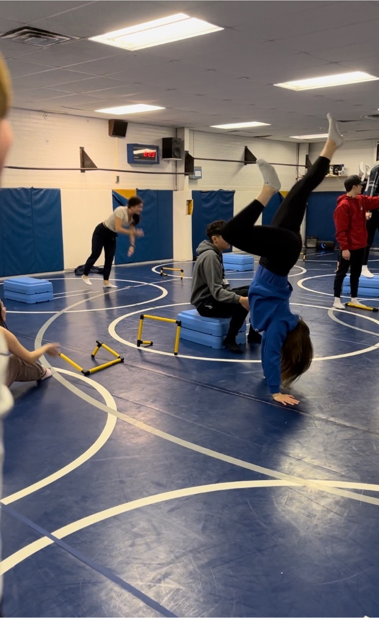 8th Argument Olympics Gymnastics