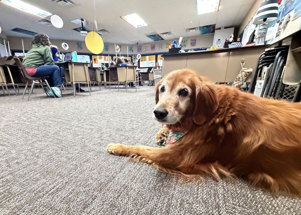 Abby the pup with teachers in the class