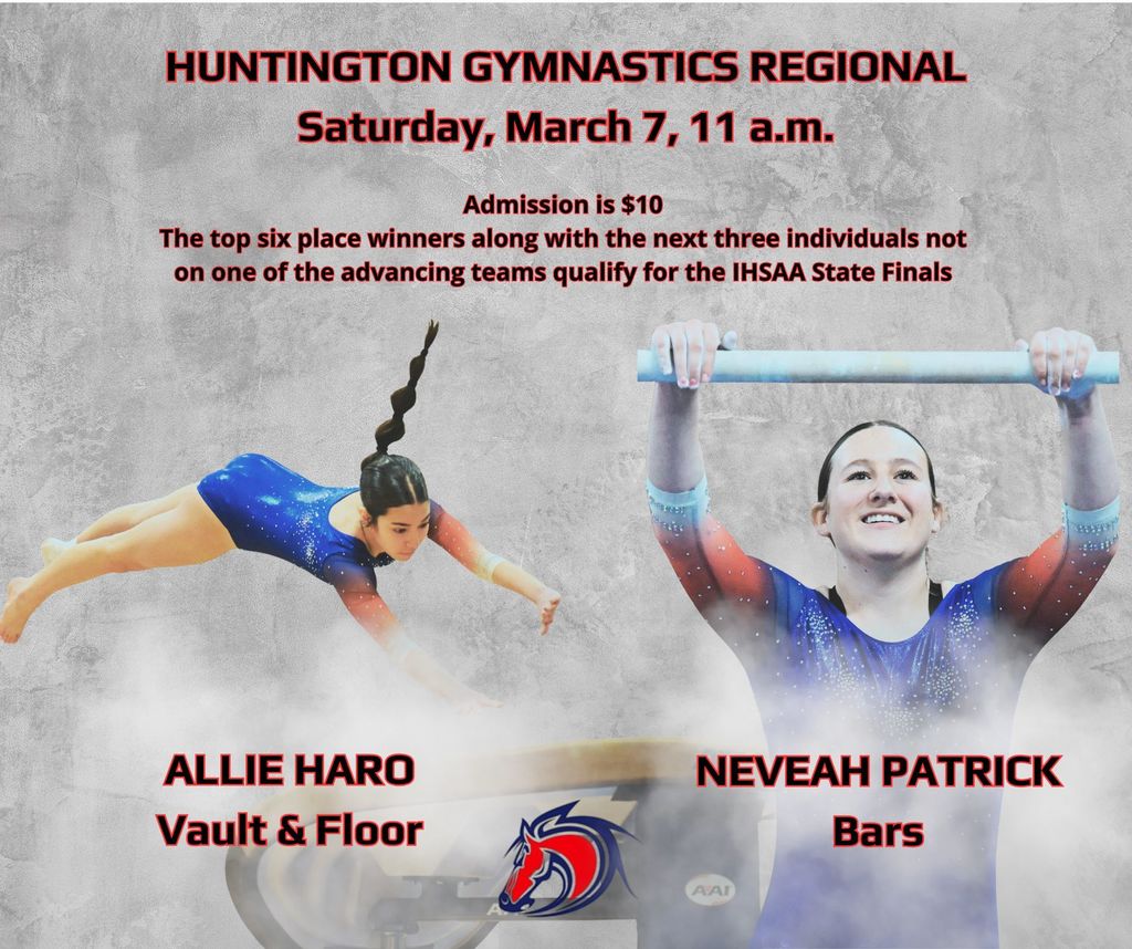 gymnastics regional information