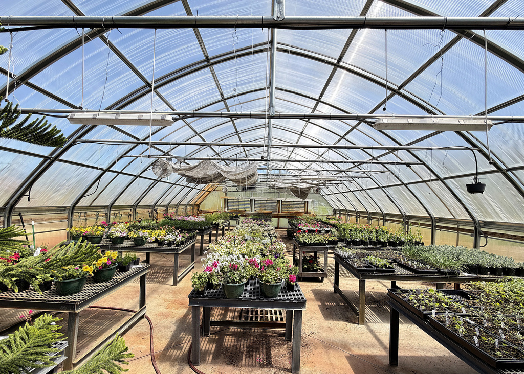 image of a greenhouse with plants in it