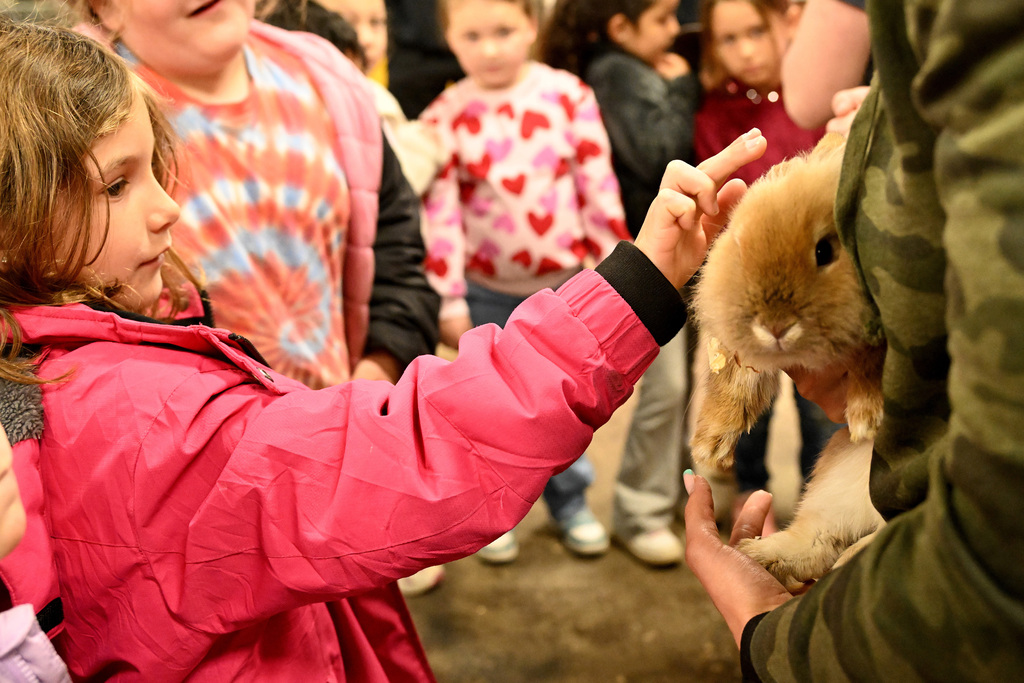a girl petting a rabbit