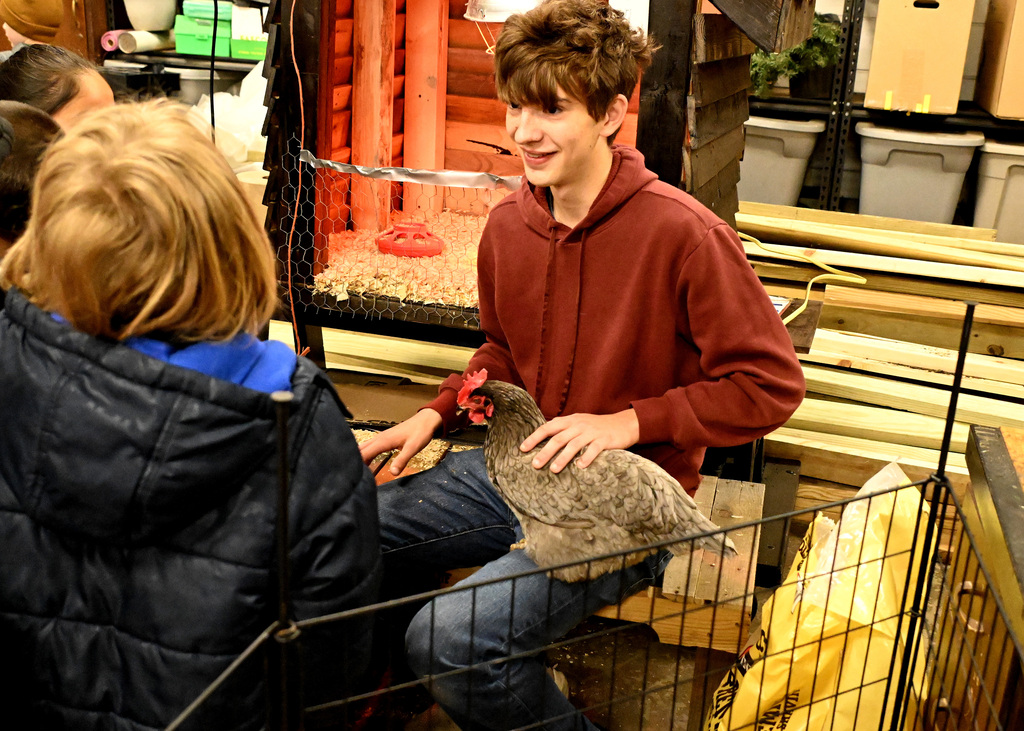 a young gent sitting with a rooster