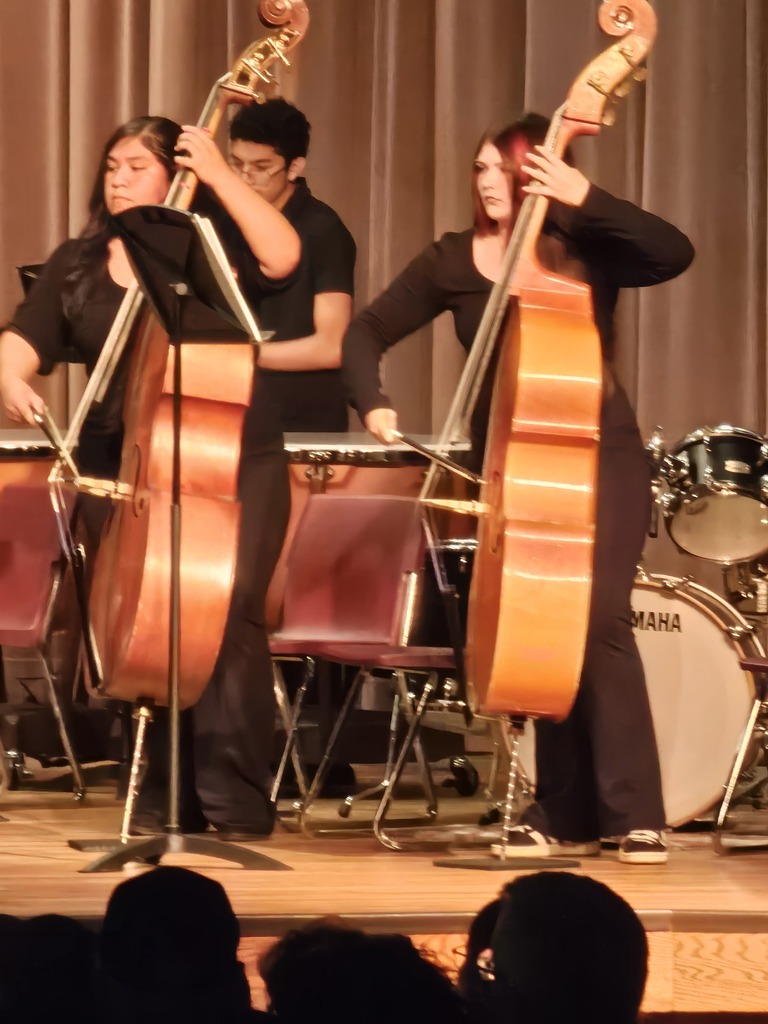 band concert kids