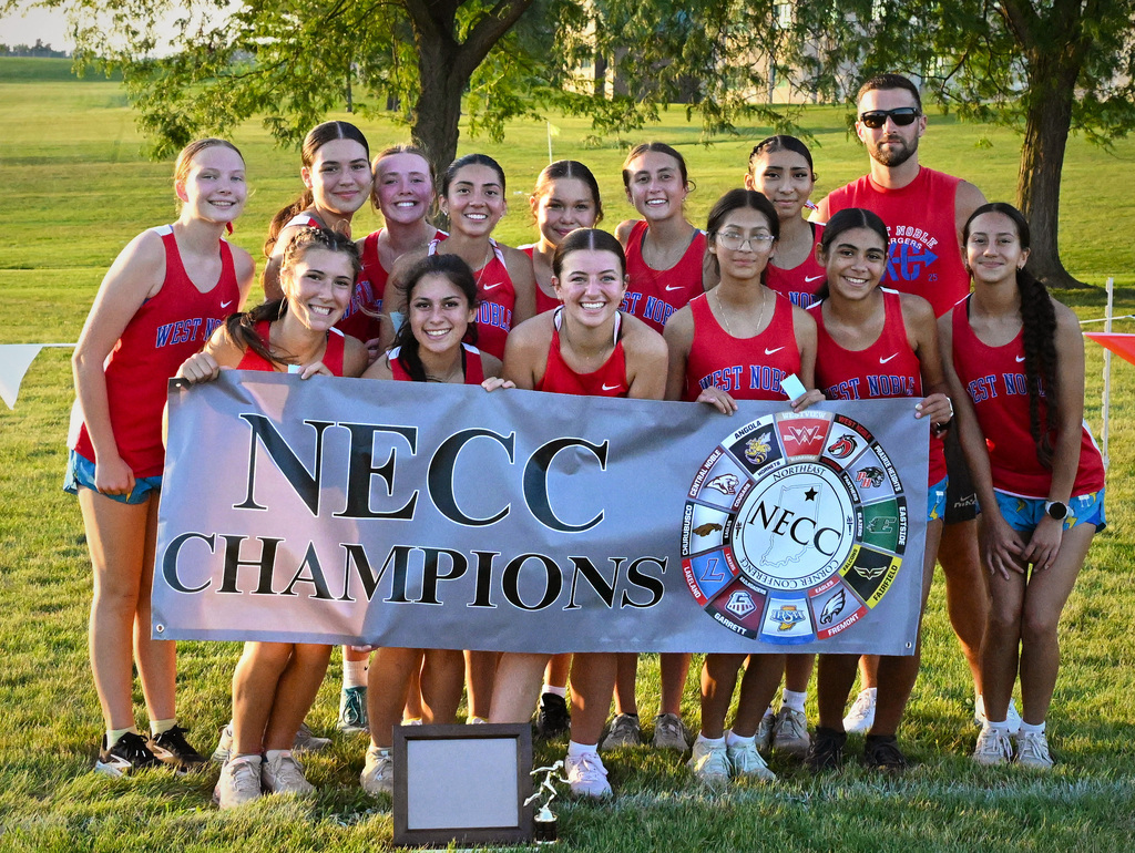 a group of girls posing with a banner that says necc champions
