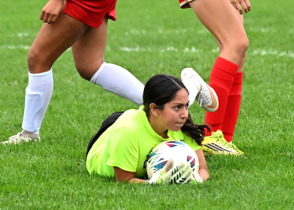 a goalie saving a ball