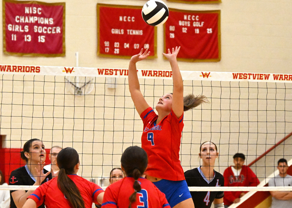 volleyball players playing ball