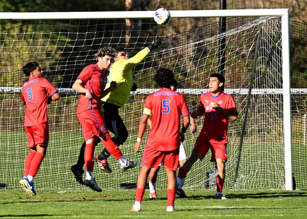 a bunch of soccer players trying the hit the ball