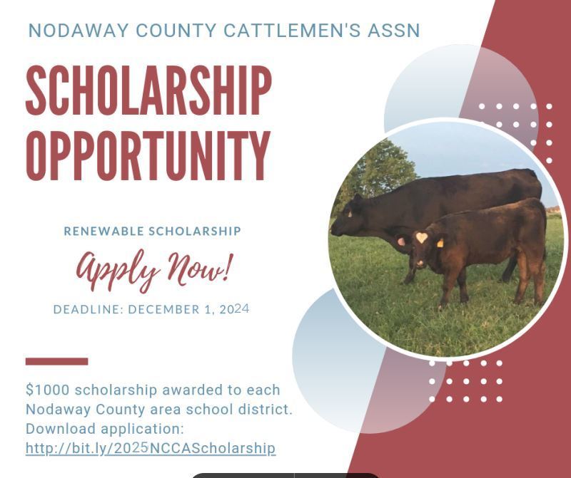 scholarship