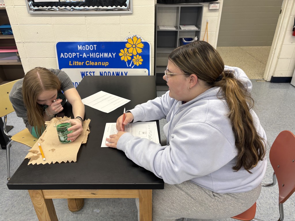 8th Grade Convection Lab