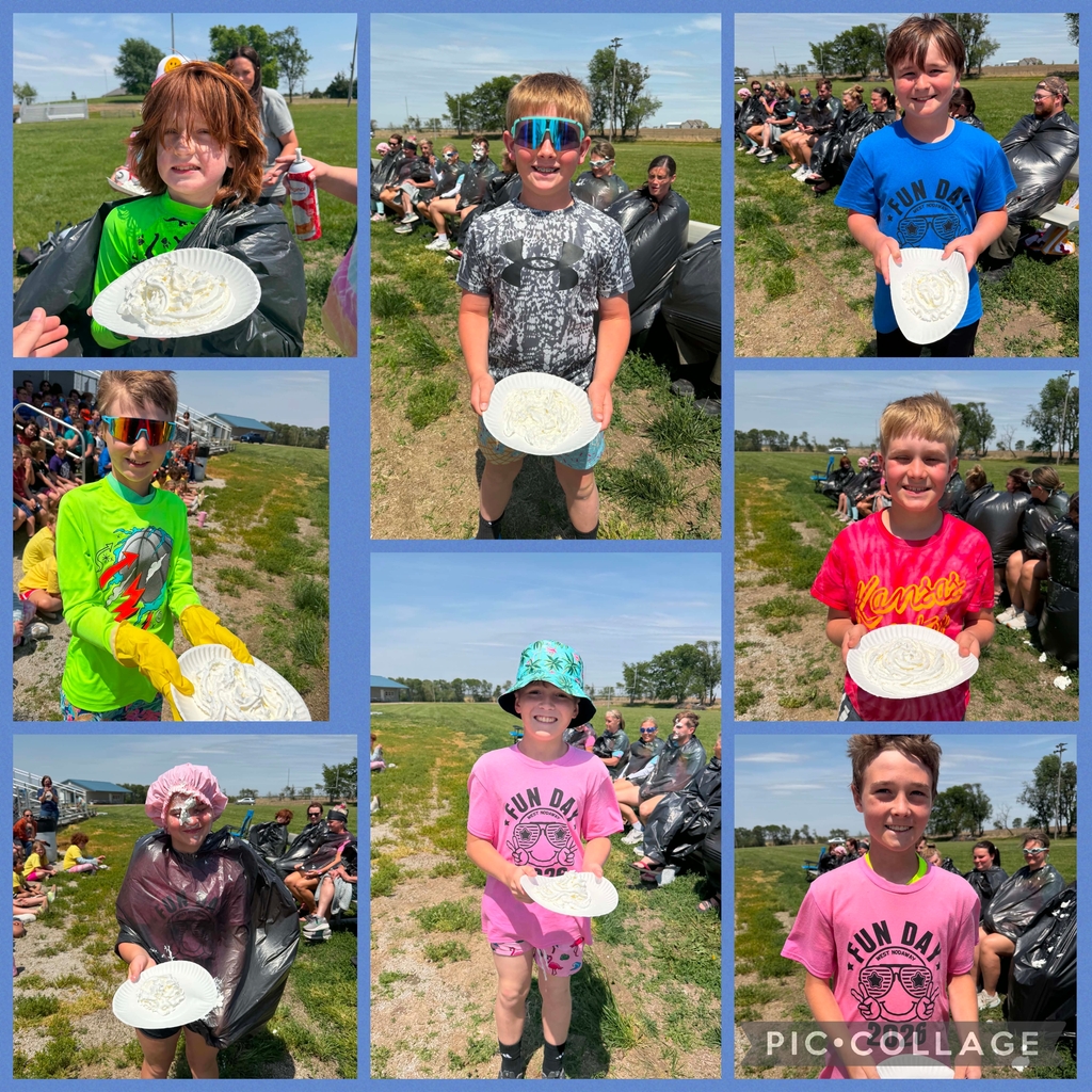 Pie In The Face
