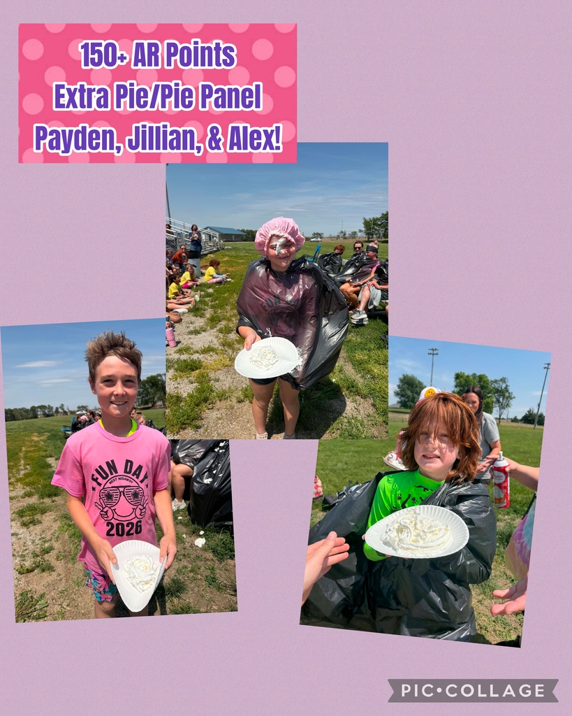Pie In The Face