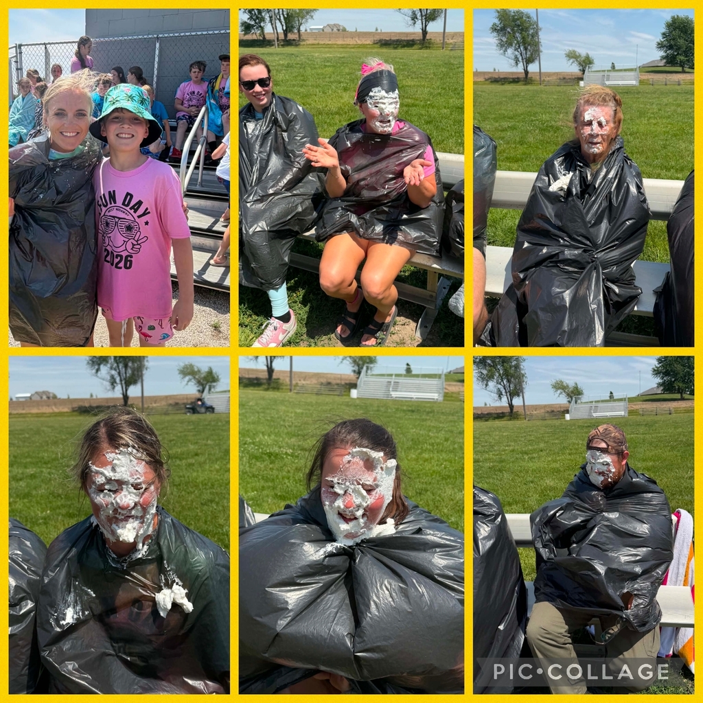 Pie In The Face