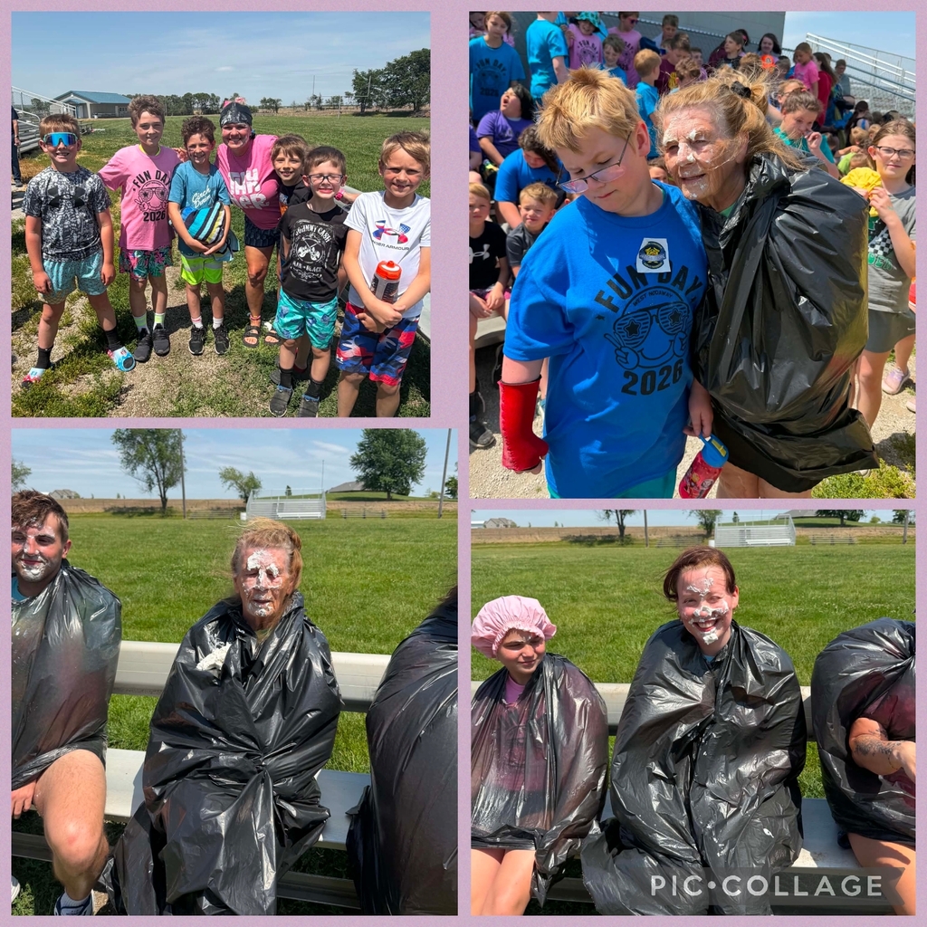 Pie In The Face
