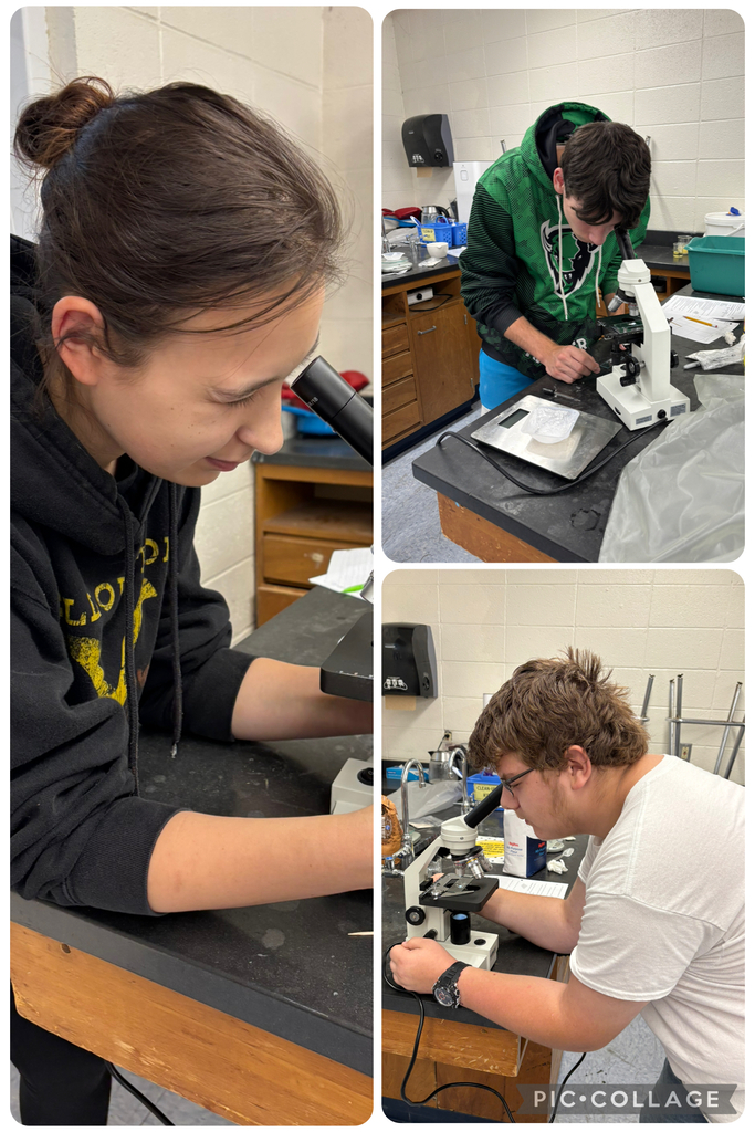 Food Science