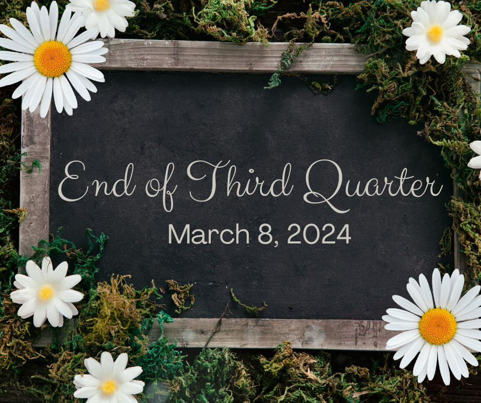 3rd Quarter