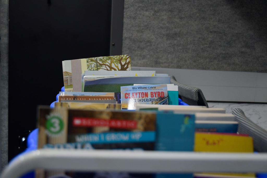 View of books provided