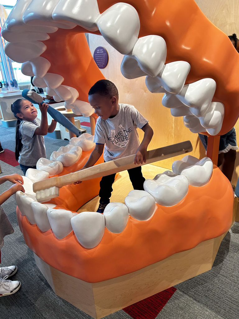 Students brushing a large set of teeth at an exhibit