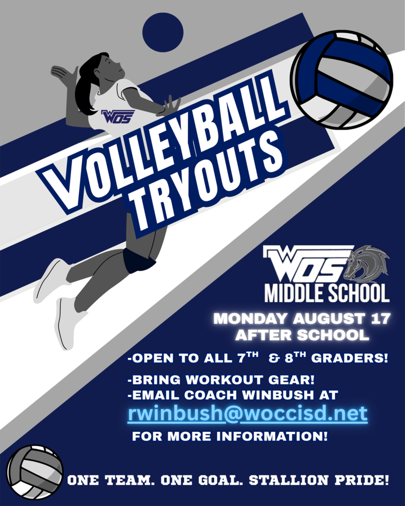 Blue and White Graphic With Volleyball Character Advertising Volleyball Tryouts at WOSMS