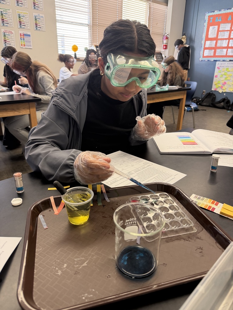 Female student wearing goggles drops chemical solution in beaker.