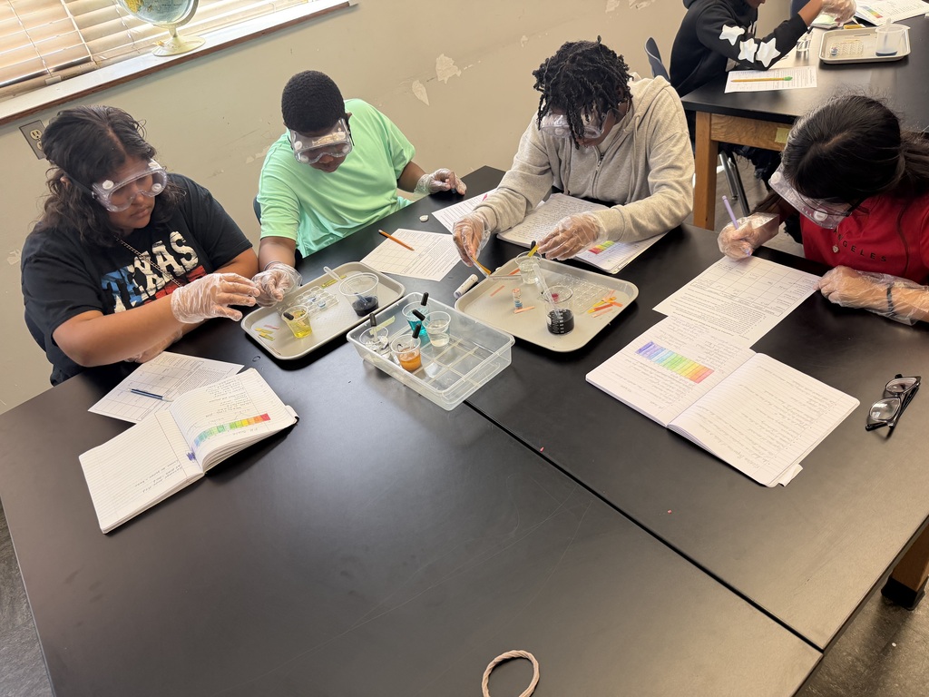 A group of science students are testing various chemicals in science class.
