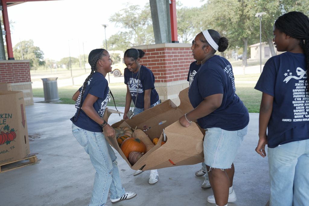 several students carrying a cardboard pallet filled with pumpkins