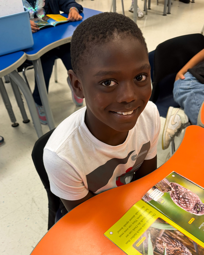 A boy wearing a white t-shirt reads a book about owls
