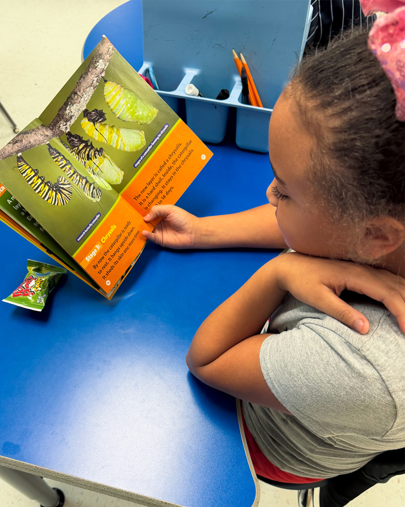 Girl reading a book about butterfly metamorphosis