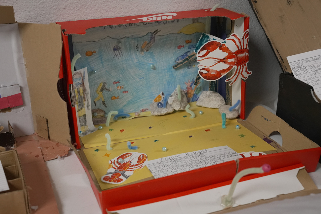 an ocean scene for a marine biologist career