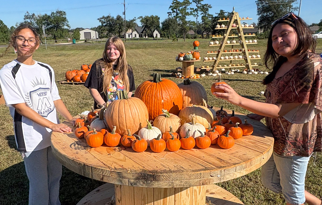 3 female students garthered around a pumpkin display
