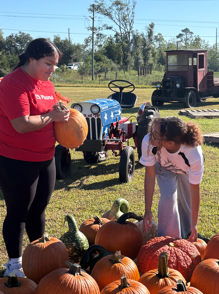 two girls arranging pumpkin at pumpkin patch