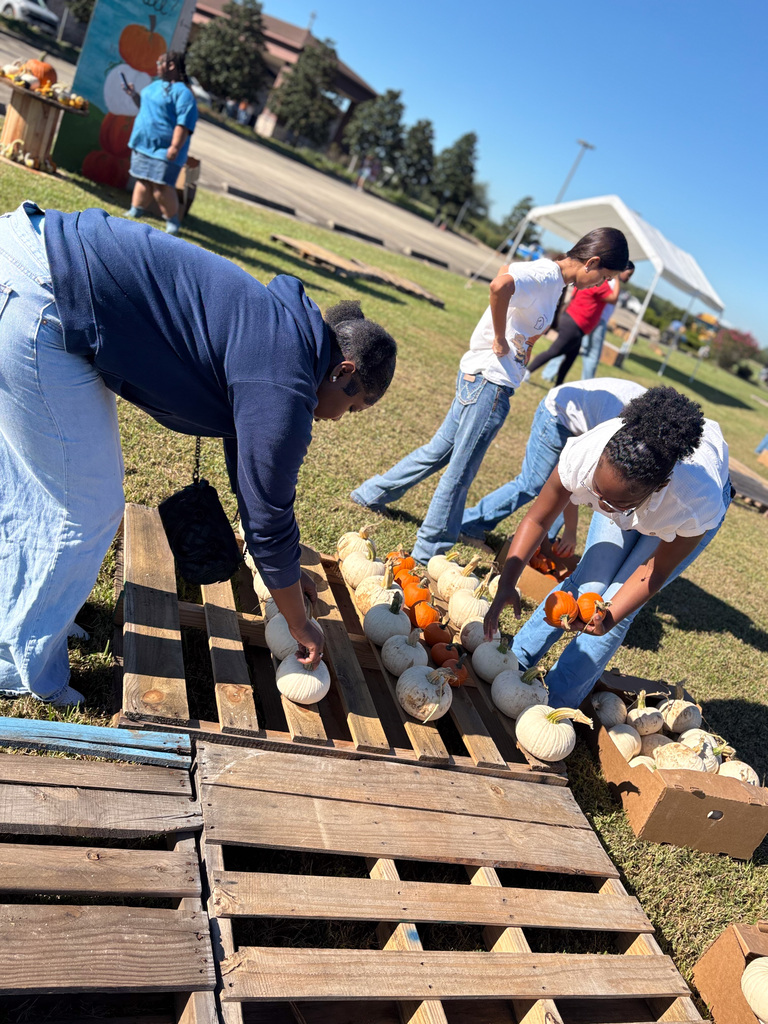 two students leaning over arranging pumpkins at pumpkin patch