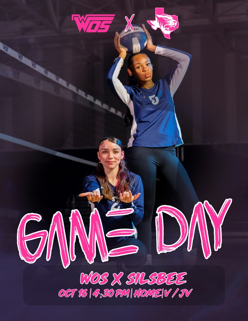 Volleyball Game Day Pink Out Graphic with two volleyball players posing.